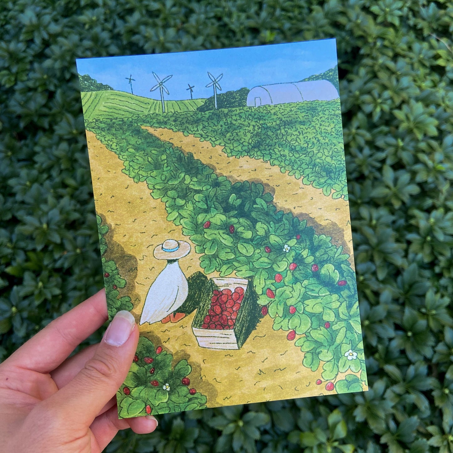 strawberry farmer print ✶ july 2024 print club