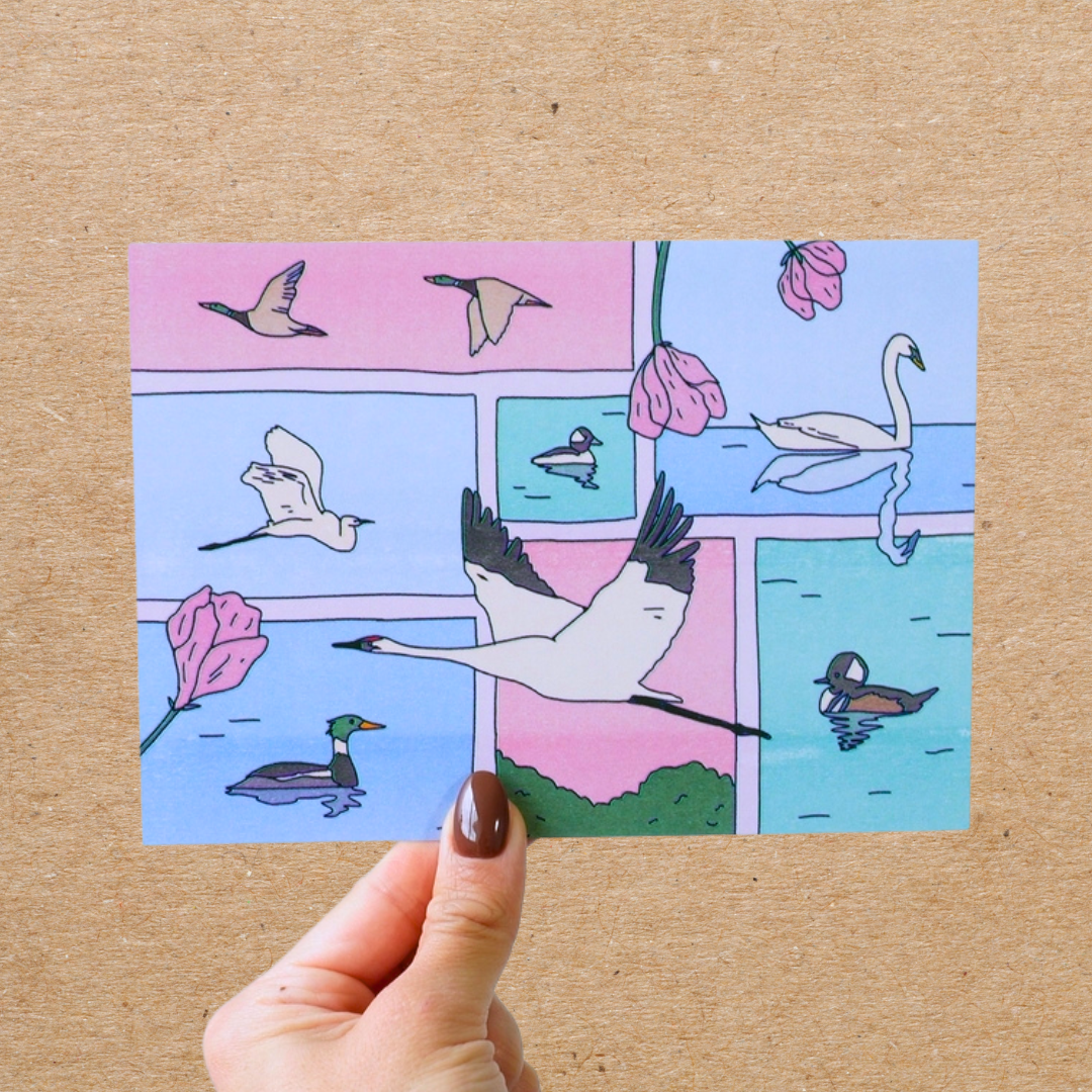 migratory birds postcard
