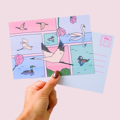 migratory birds postcard